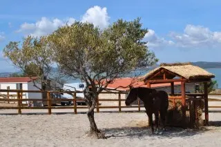 Hotel Stipe