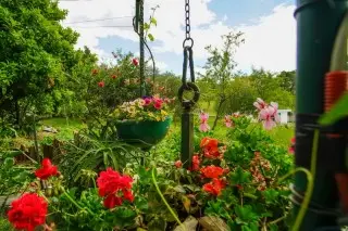 Apartmani Gita