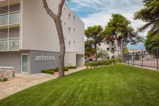 Ville Arausana & Antonina