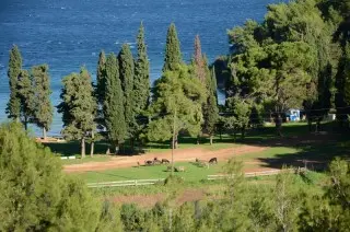 Villa Aria Comforte