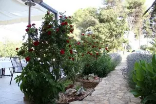 Villa Stari dvor