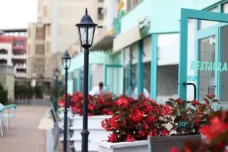 Hotel Delfin