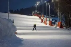 Demänová Rezort