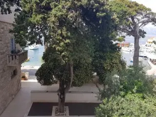 Hotel Lipa