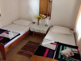 Vila Lidus