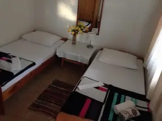 Vila Lidus