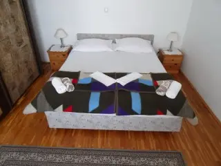 Vila Lidus