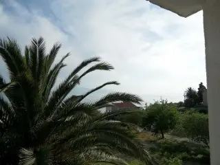 Vila Lidus