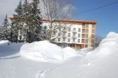 Hotel Crocus