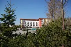 Hotel Crocus