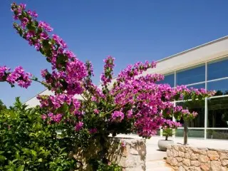 Grand Hotel Elaphusa