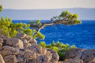 Bluesun hotel Berulia