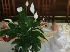 Sport Hotel