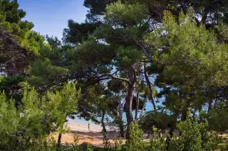 Eva Sunny Hotel & Residence by Valamar - Hotel Eva