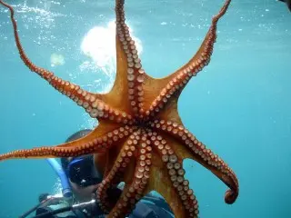 Hotel Adriatic