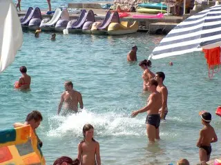 Pansion Delfin
