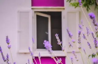 Apartmani Lavande