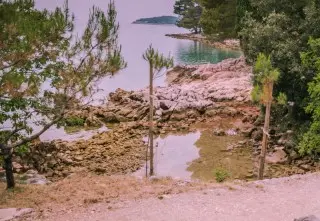 Apartmani Lavande