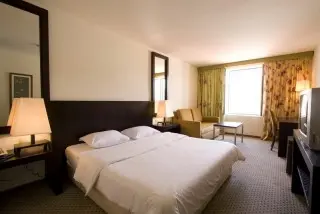 Hotel International