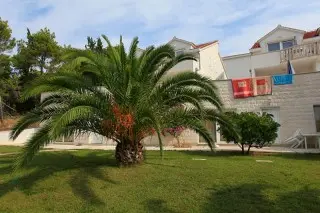 Apartment Illyrian Resort