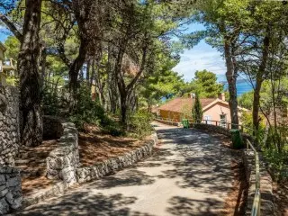 Holiday Park  Zelena Punta