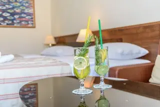 Hotel Pagus