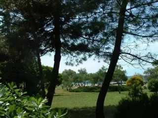 Hotel Donat All Inclusive !