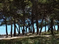 Apartmani Hostin Tisno