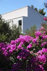 Medora Auri Family Beach Resort