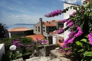 Hotel Podgorka