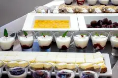 Hotel Aurora for Plava Laguna All Inclusive