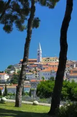 Apartamenty Riva
