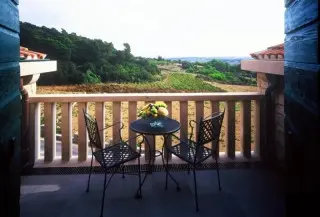 Hotel Winiarski Bośkinac