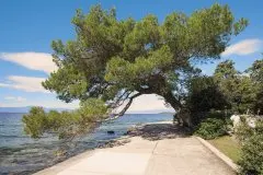 Luxury Hotel Riva