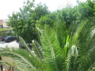 Garni Hotel Koral