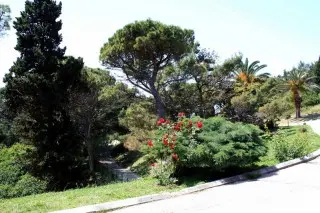 Hotel Albatros