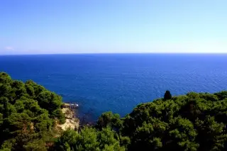 Hotel Albatros