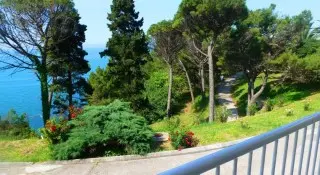 Hotel Albatros