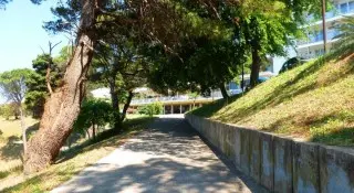 Hotel Albatros