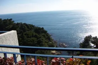 Hotel Albatros