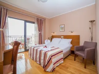 Hotel Paun