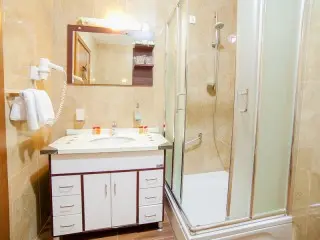 Hotel Paun