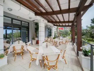 Hotel Paun