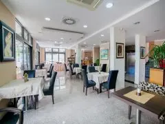Hotel Paun