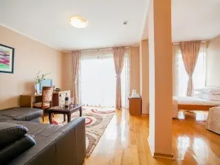 Hotel Paun