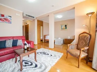 Hotel Paun