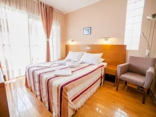 Hotel Paun