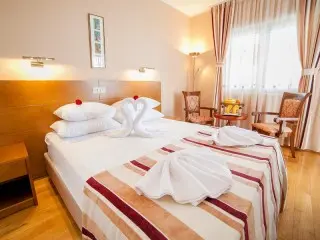 Hotel Paun
