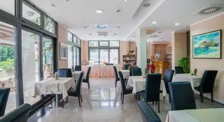 Hotel Paun