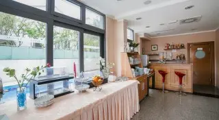 Hotel Paun